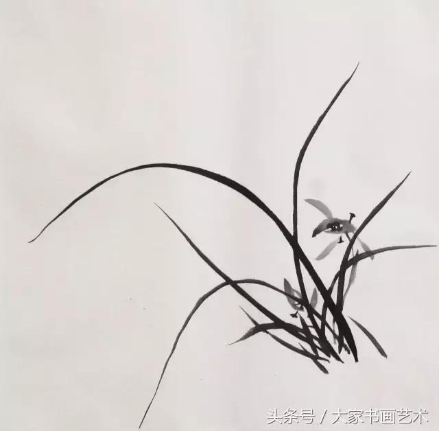 中国写意花鸟画教程梅兰竹菊篇,阮克敏花鸟写意画50幅