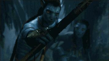 秘鲁巨型荷兰猪真的有吗,秘鲁荷兰猪巨型