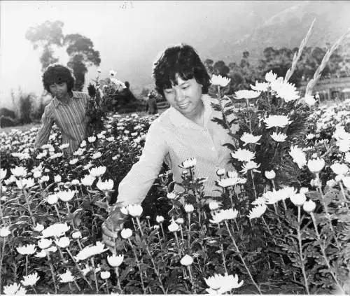 珠海建市后的建设热潮中，这样的石景山公园你一定没见过！