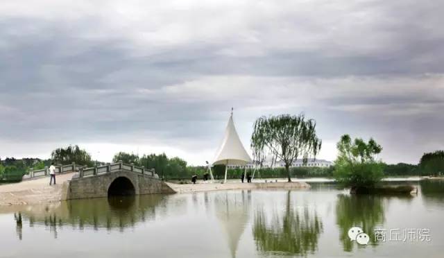 高校评分商丘师范学院,高校商丘工学院