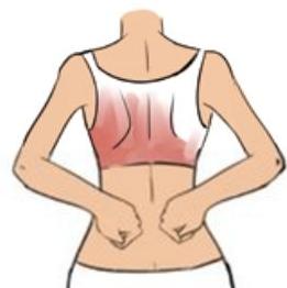 适合腰椎间盘突出的运动,飞燕式治疗腰椎间盘突出