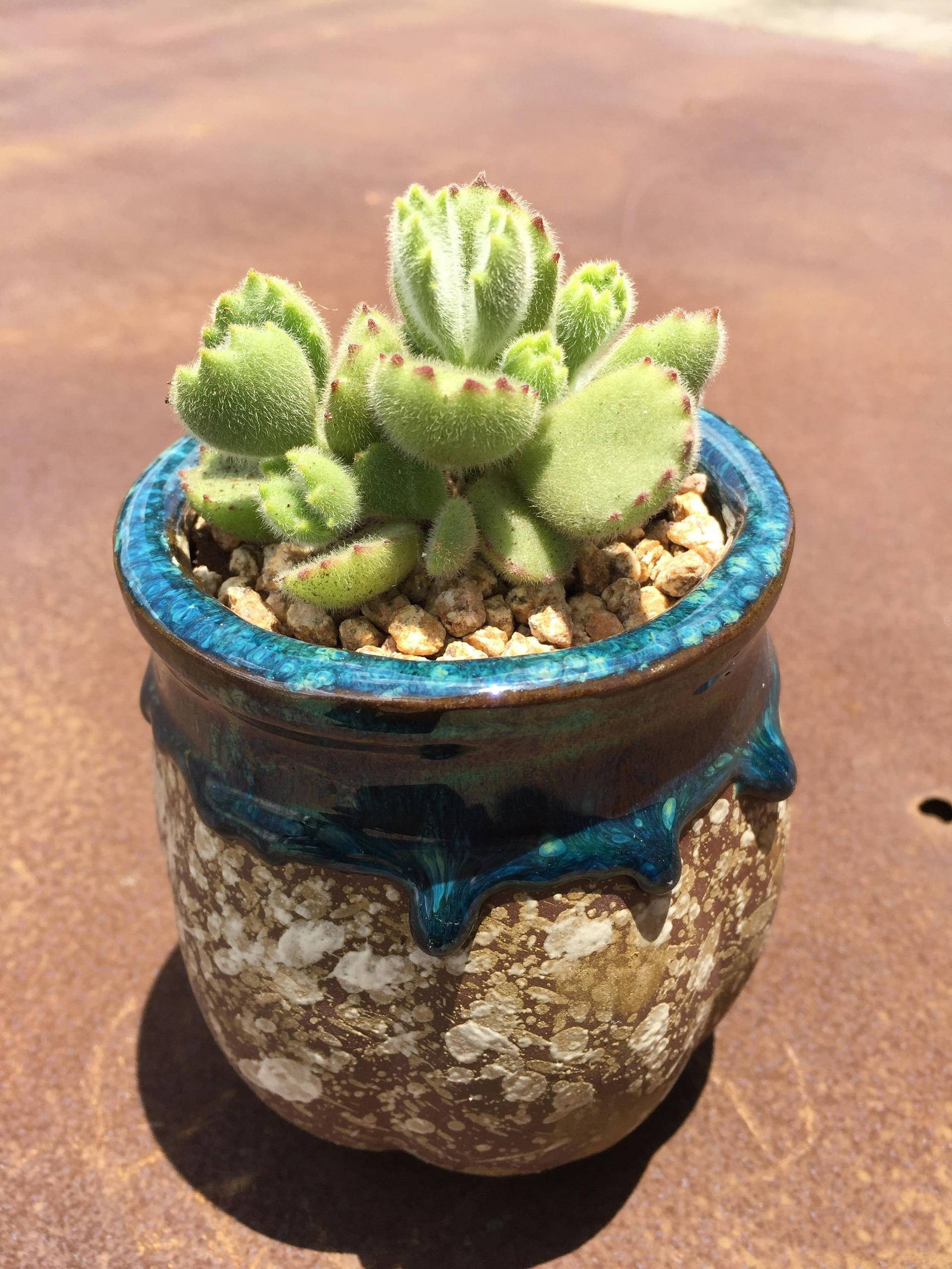 生锈的破铁门图片,生锈的铁门破了