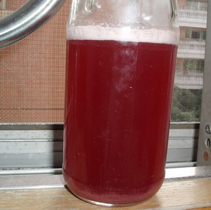 自酿葡萄酒后续怎么保存,自酿葡萄酒第几天开始冒泡