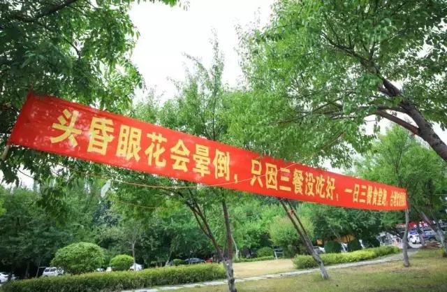 沈阳师范大学回忆,再见青春再见过往