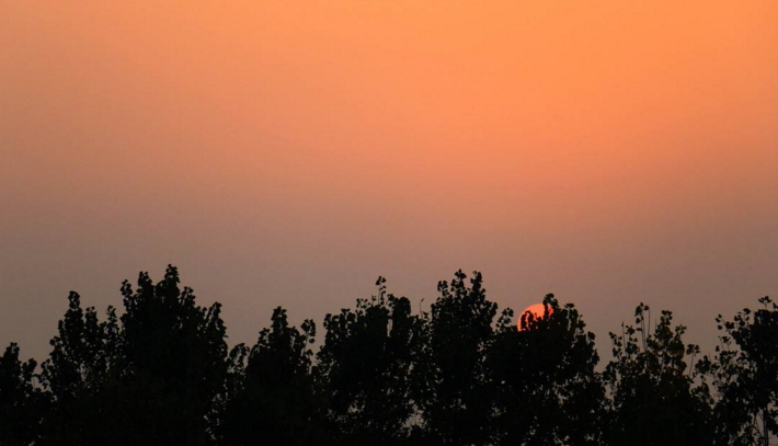 阎王嫌他的口哨过于吵闹，就把他赶回人间来了
