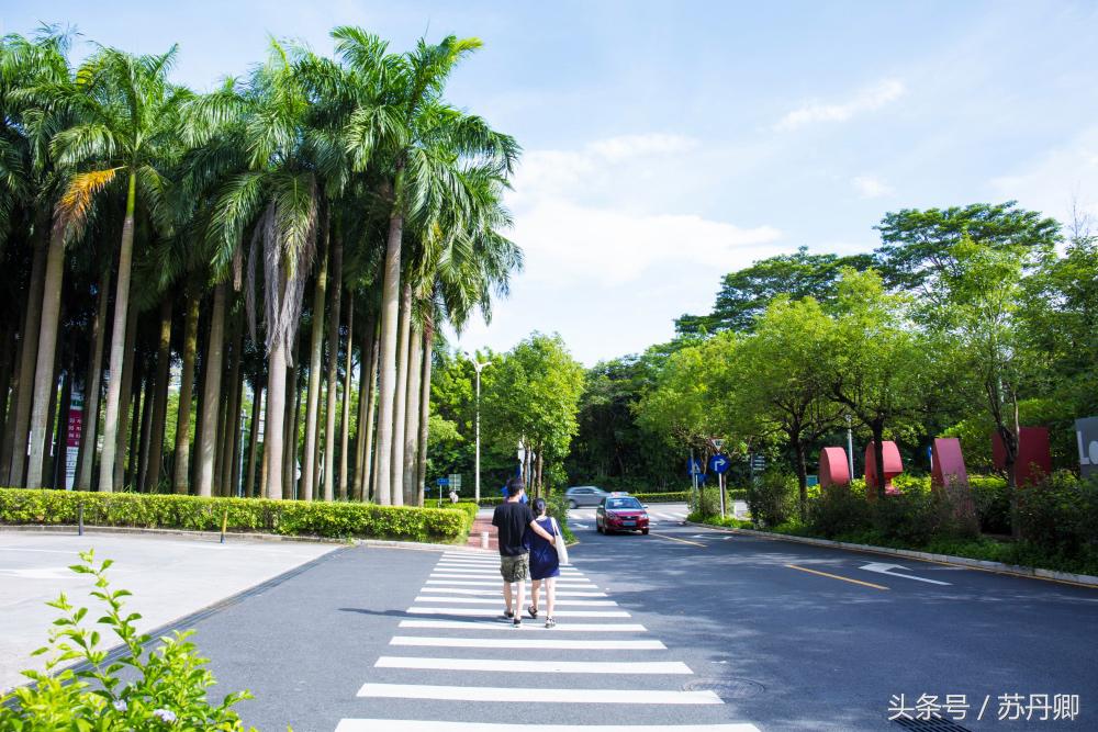 深圳世界之窗中途出去能再进吗,深圳世界之窗要准备什么