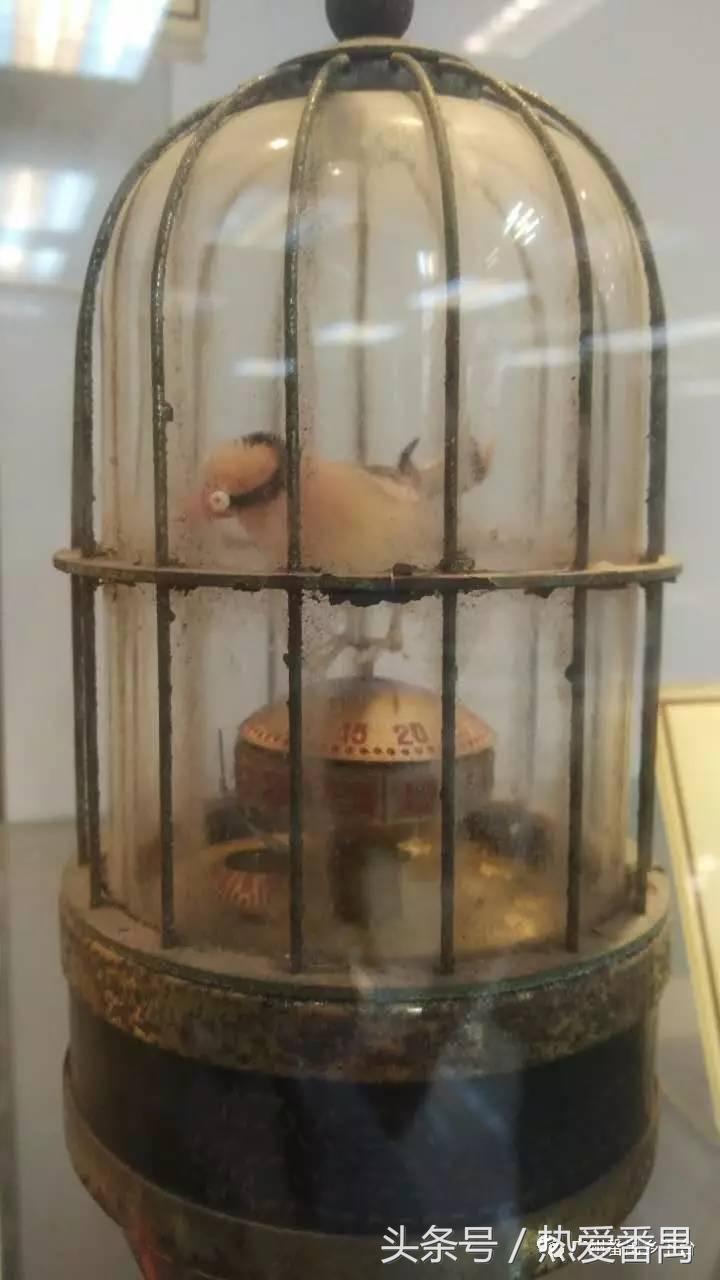 广州番禺档案馆,番禺图书馆有哪些关于历史的书