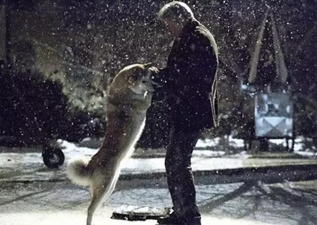 小蓝看电视剧全集,小蓝看电影