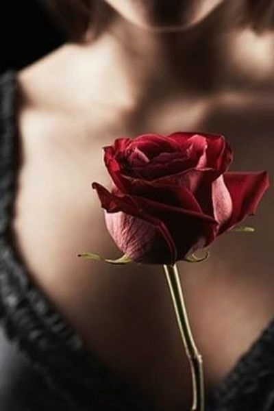 每日情感问答栗子姐,栗子姐每日情感问答全集