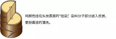 日本女性染发的危害,日系染发的危害