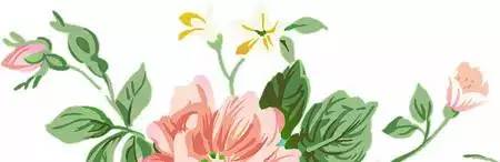 云南春天可以吃的各种花,云南春天有哪些花可以食用