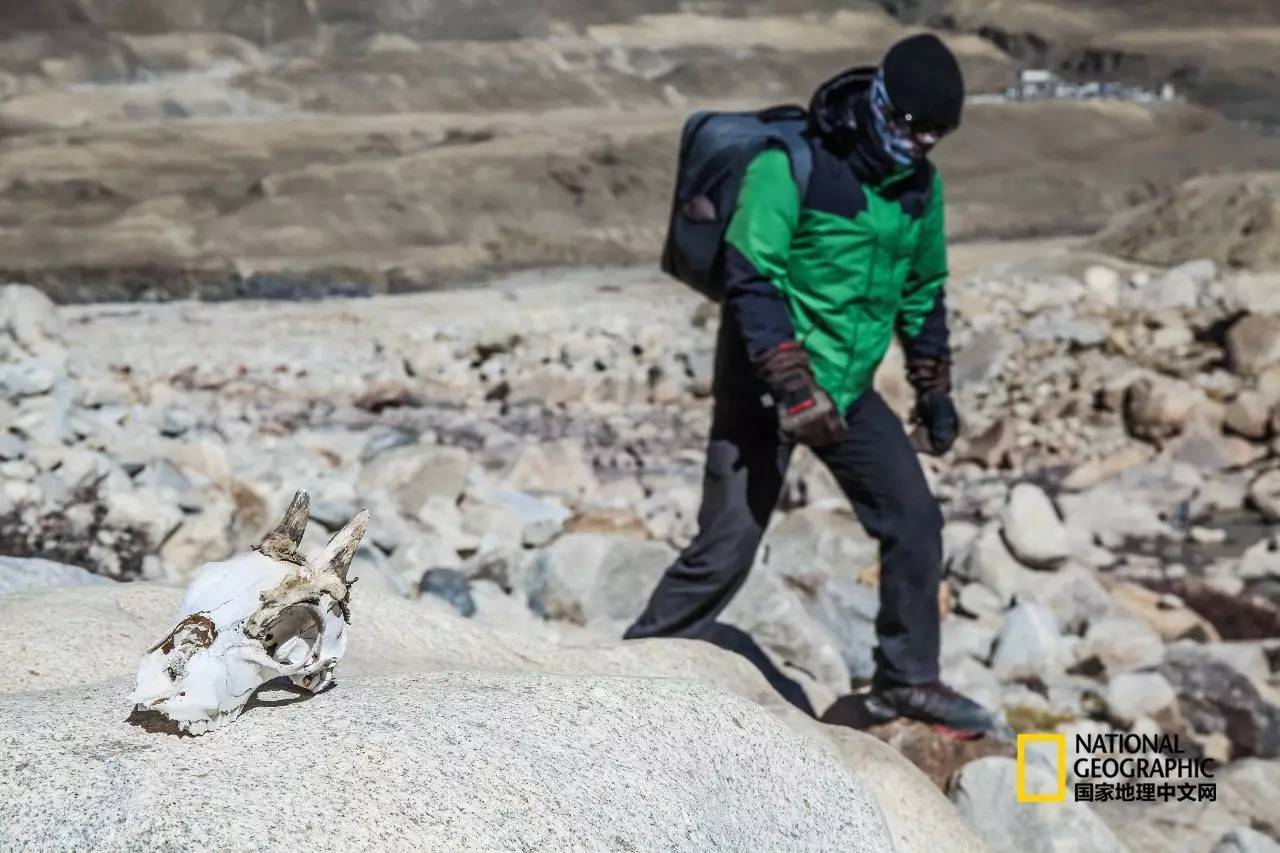 一次惊险的冒险之旅南极冰川,神奇的南极冰川探险之旅感受