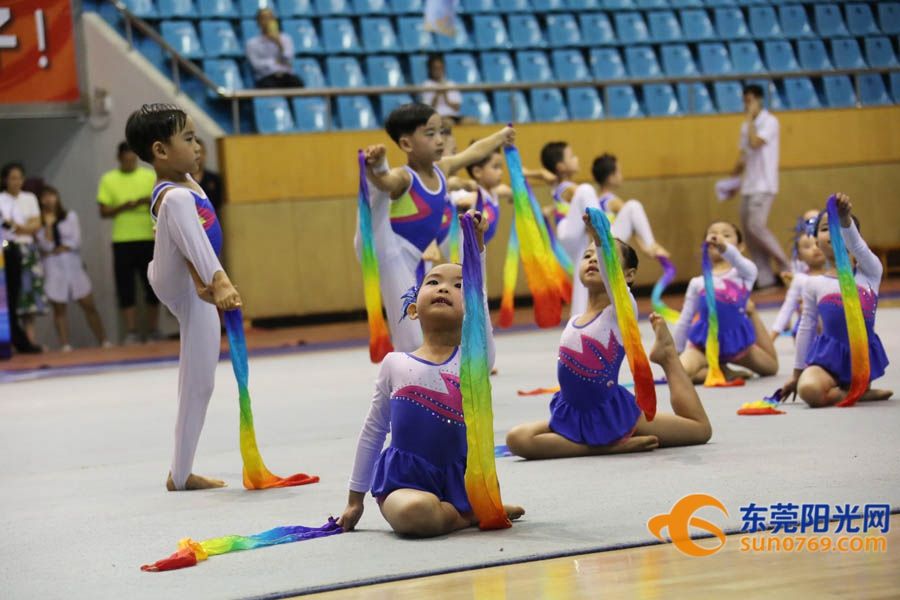 第九届东莞市市运会,2022东莞市体操锦标赛