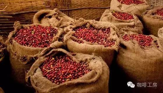 带你了解一下咖啡的相关知识,中美洲有哪些国家产咖啡