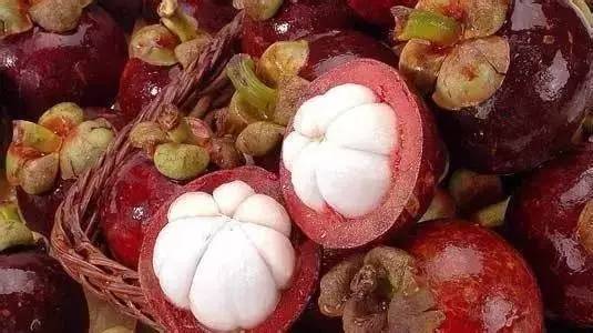 山竹降火最快的方法,健康山竹