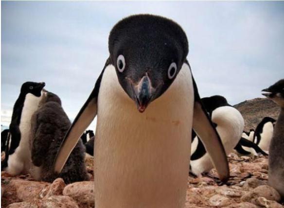 韩国专属“火病”又能申遗了!每日轻松一刻6月27日午间版