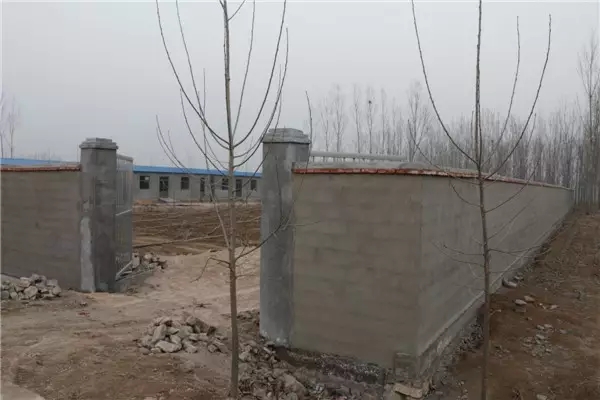 触“电”，一个国家级贫困村的两年之变