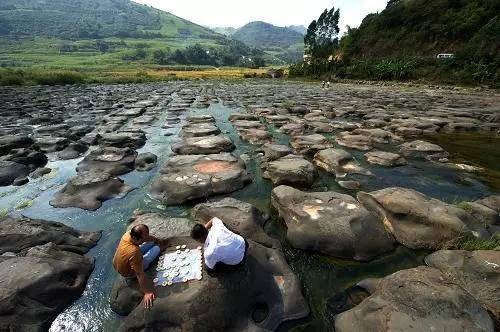 居然有人给芒果这种生物开世界大会,逼格升级,田东又要火上天啊!