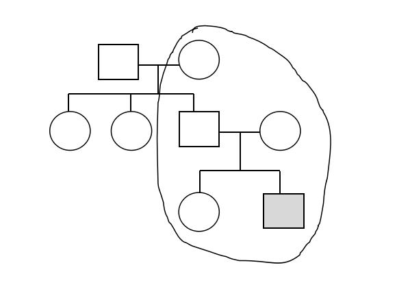 原生家庭对人生格局的影响,原生家庭如何影响你的婚姻