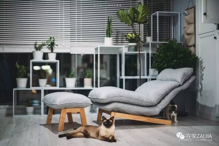 柔和舒适的房屋,小巧温馨舒适的房子