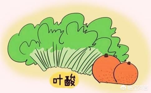 备孕饮食建议,备孕饮食注意事项和建议