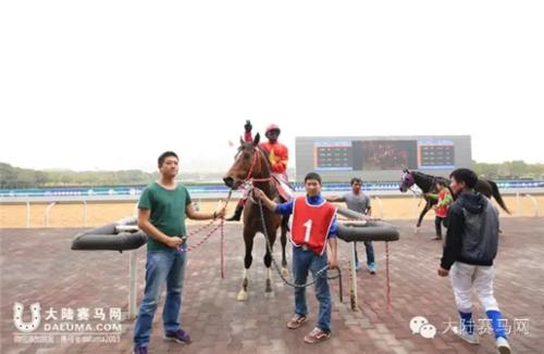 武汉赛马比赛时间表,武汉速度赛马公开赛入场时间