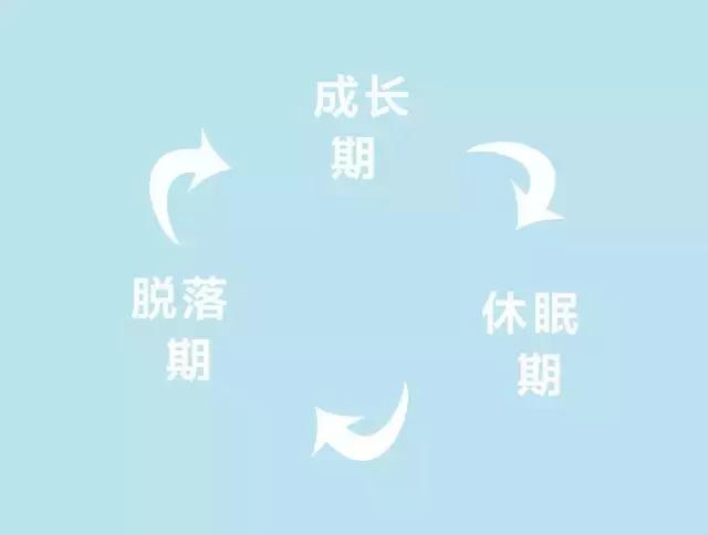 用什么方法才能使睫毛变长变浓密,睫毛怎么变长这些技巧定能帮到你