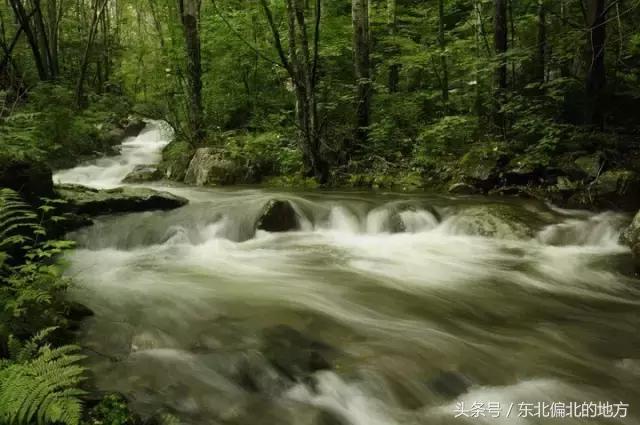 夏季黑龙江最美景区,黑龙江避暑最佳城市