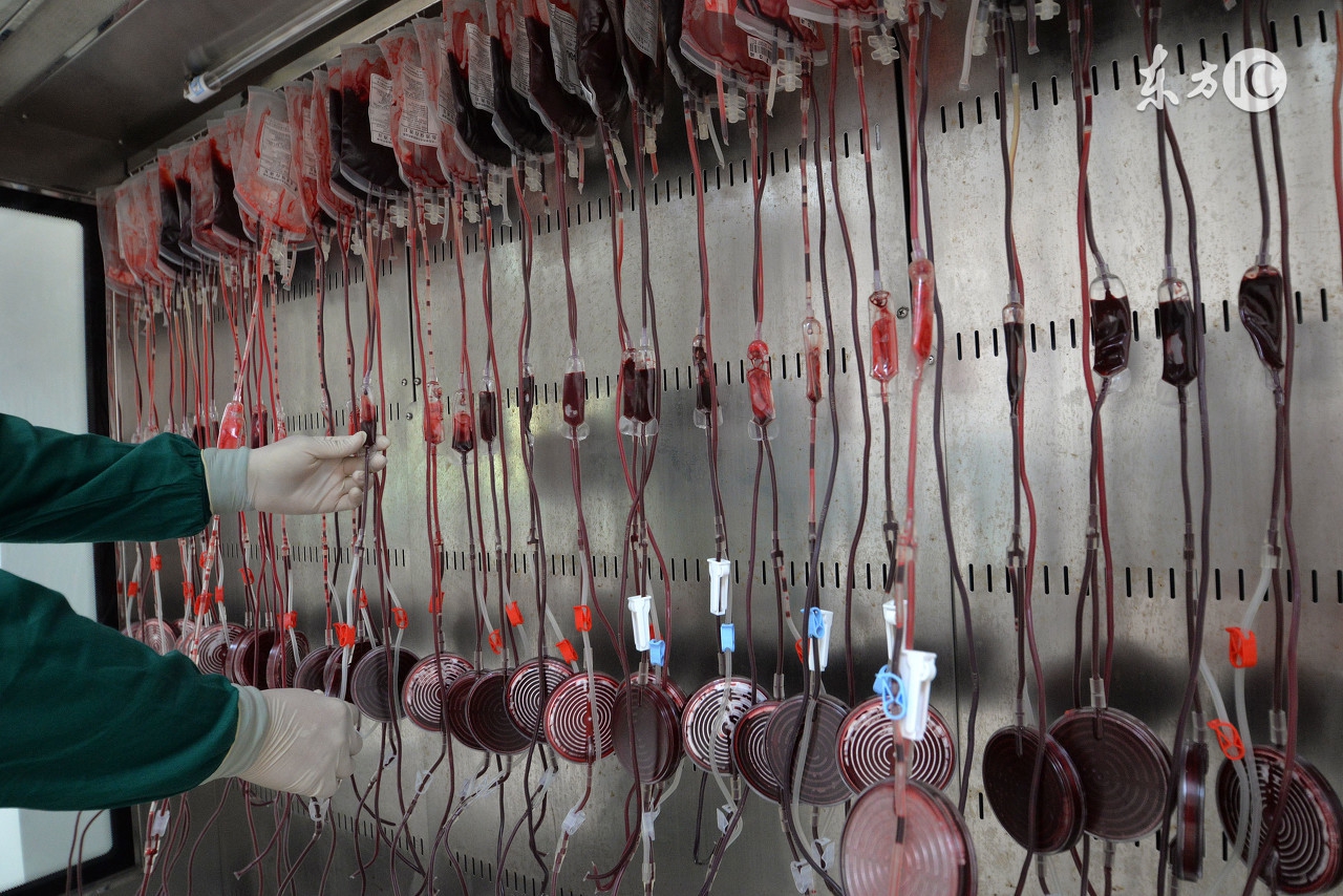 白血病白细胞减少,白细胞减少怎么办