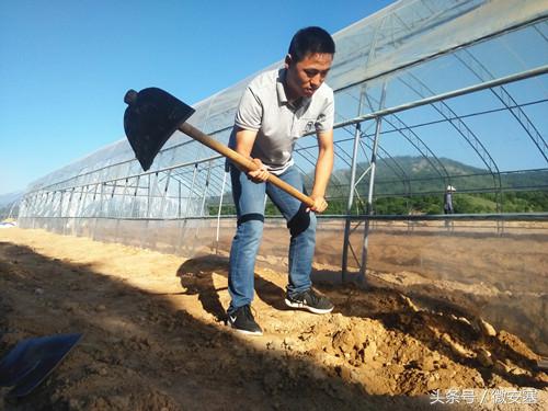 上过大学当过兵心里有本“致富经”