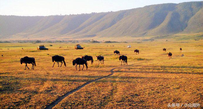 小众旅游地探索攻略,坦桑尼亚游猎攻略