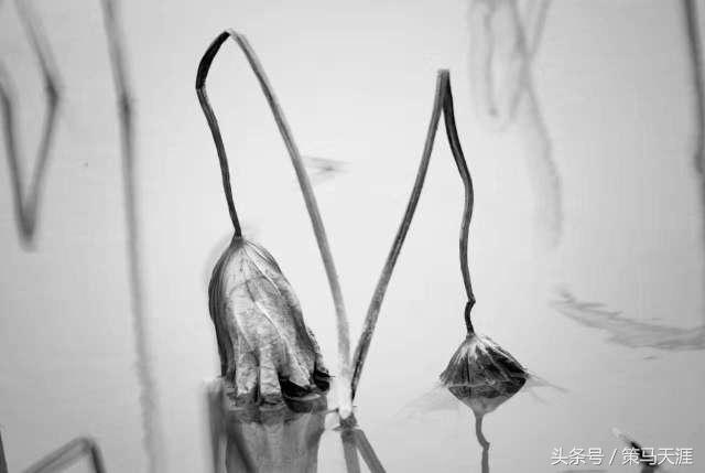 君子如荷出淤泥而不染图片,荷出淤泥而不染的隶书