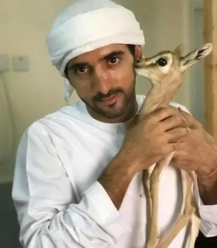 沙特最帅王子哈曼丹,阿联酋王子哈曼丹照片