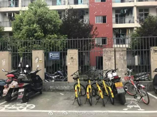 一夜风雨后，成都一白发爷爷的这个举动获赞无数！