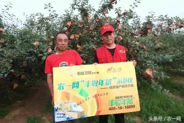 农资生意难做为啥还要做,都说生意一年比一年难做