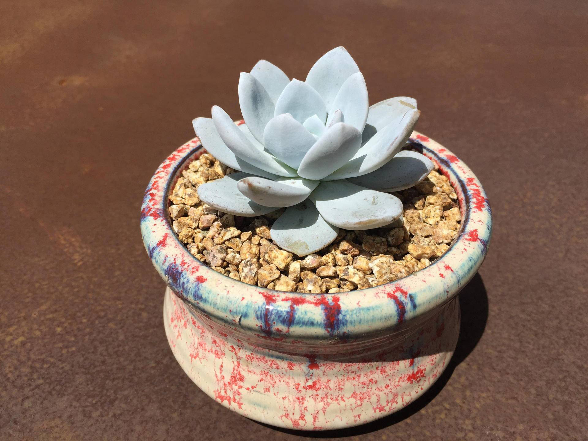 生锈的破铁门图片,生锈的铁门破了