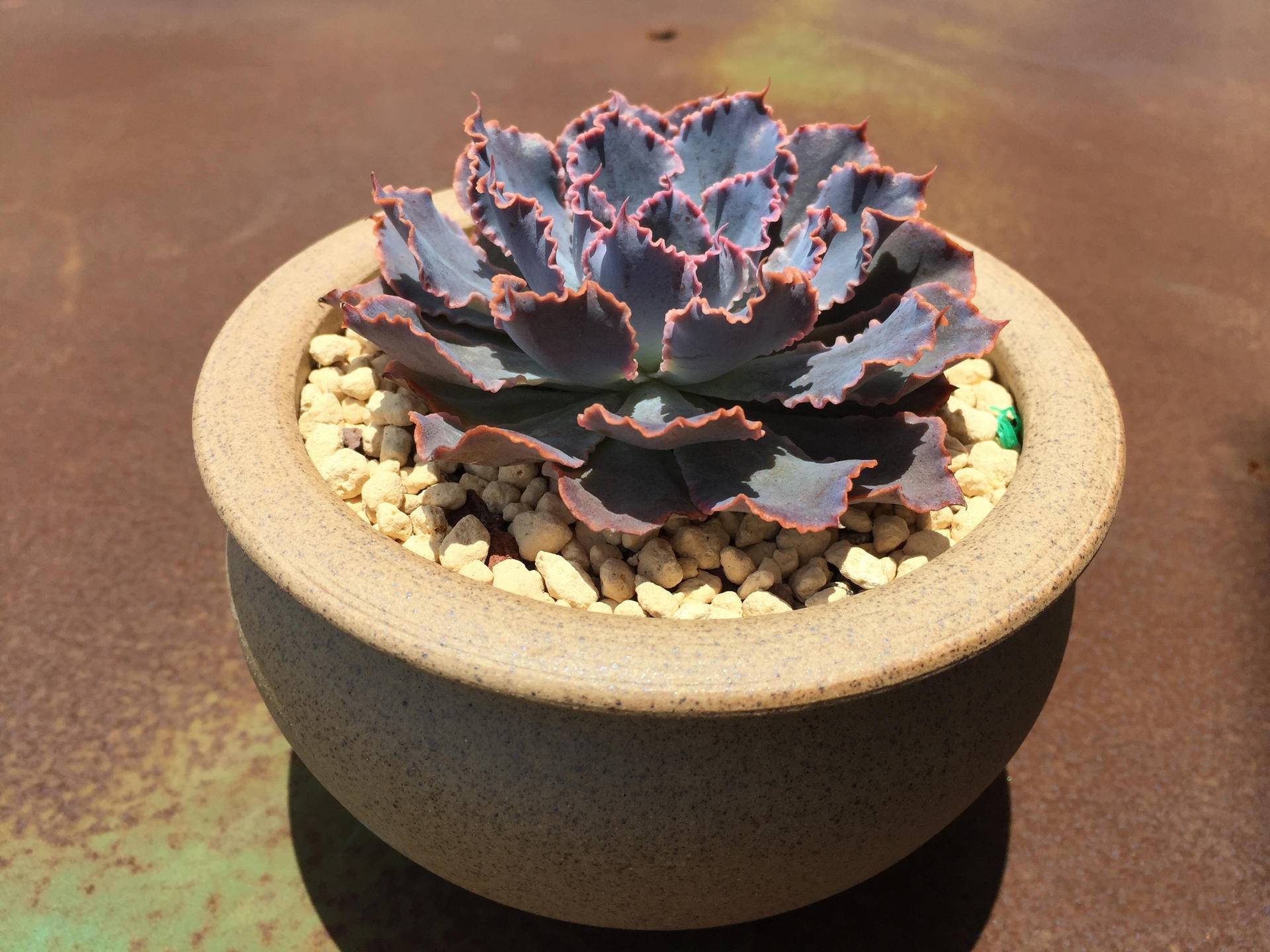 生锈的破铁门图片,生锈的铁门破了