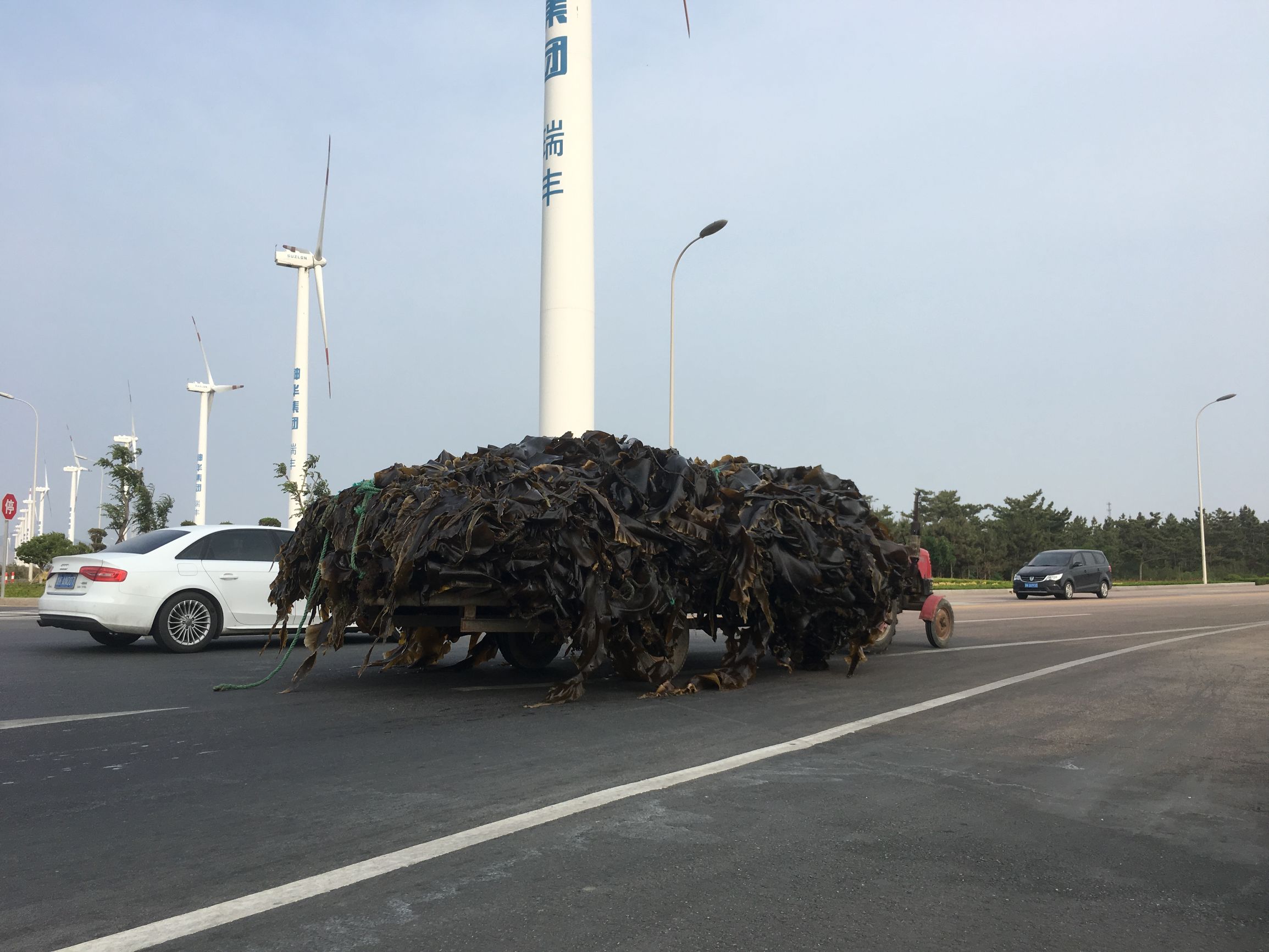 旅行的第88天,旅行第83天视频