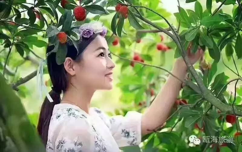 曾经3万个水果微商代理，不玩了！水果+互联网，进入质时代！