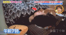 这样的叫床方式，有点一言难尽！