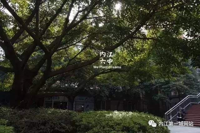 想穿校服,内江六中校服