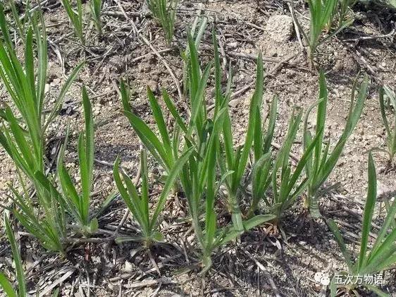 车到山前必有草,车到山前必有路山前山后都有