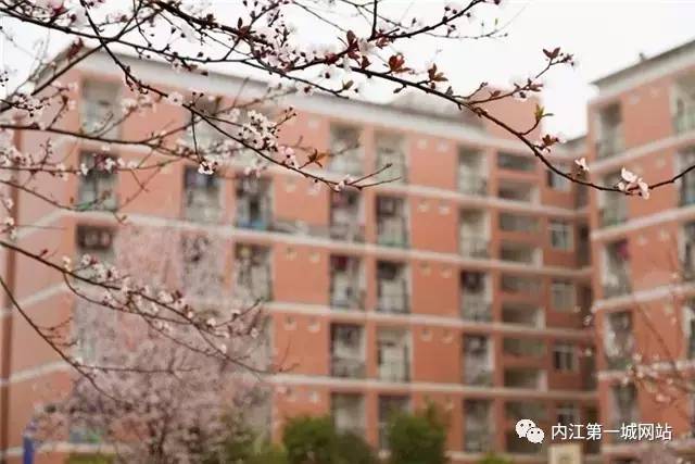 想穿校服,内江六中校服