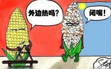 阿拉上海人搞笑视频,阿拉最新搞笑视频