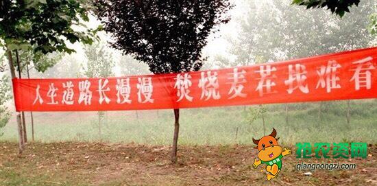 不让农民烧秸秆的视频,不让烧秸秆农民找哪个部门解决