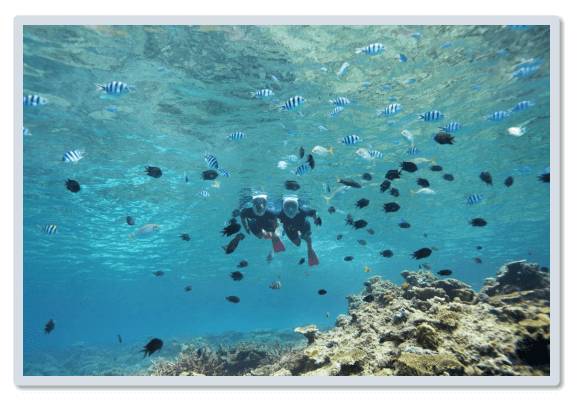 2016最火的vr视频,2021年vrv销量排行榜