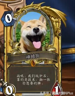 安戈洛卡组推荐,安戈洛版本海鲜贼