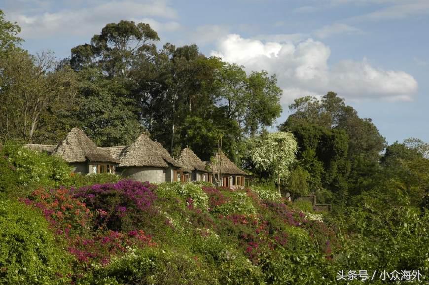 小众旅游地探索攻略,坦桑尼亚游猎攻略