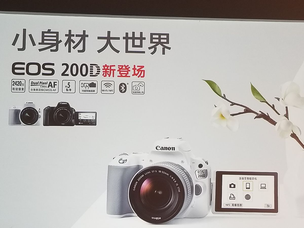 佳能6d2和佳能6d差距有多大,佳能5d3和6d2哪个好