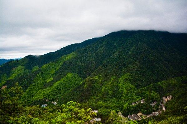 黄山四绝之一奇松介绍,黄山的四绝分别是奇松怪石